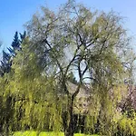 Semesterbostad Le Du Les Quatre-Routes-du-Lot