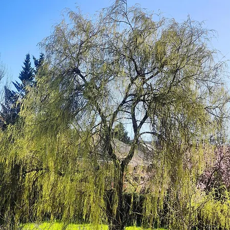 別荘 Le Du Les Quatre-Routes-du-Lot