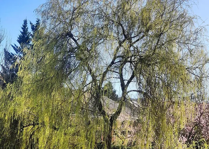 Nyaraló Le Du Les Quatre-Routes-du-Lot